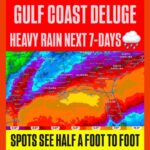 Flood Watch Covers Houston, Harris County, Conroe, and College Station Through Friday Evening as Slow-Moving Downpours Target Areas North and West of Downtown
